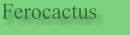 Meine Ferokakteen